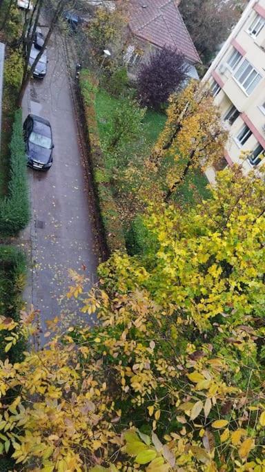 Walnut Apt. Near The River, Early/Late Checkin/Out Apartment Cluj-Napoca Exterior photo